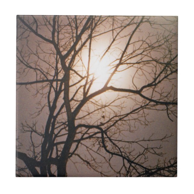 Sonho de Lua (Frente)