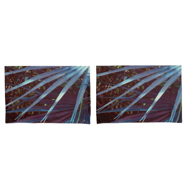 Sonho de Palmetto Azul (Frente - conjunto)