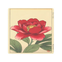 Sonho de Peônia Carmesim