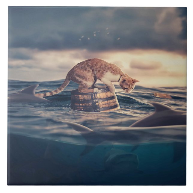 Sonho do Cat Nap ou Pesadelo (Frente)