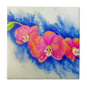 Sonhos de Orquídea