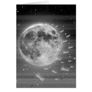 Sonhos que voam o cartão