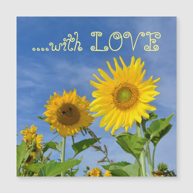 Sonnenblumen für Dich ... (Frente)