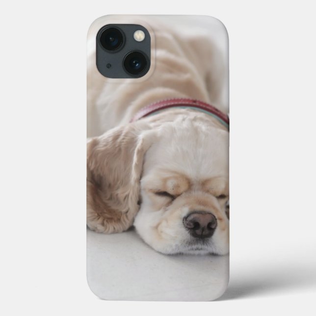Sono do cão de cocker spaniel (Verso)