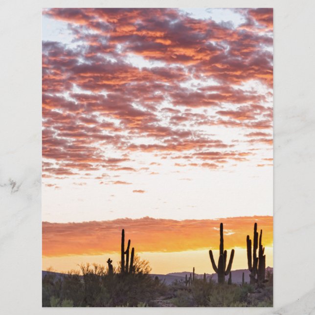 Sonoran Desert Colorida Sunrise Morning (Frente)