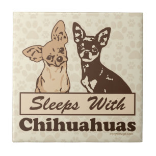Sonos com chihuahuas