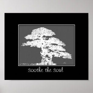 sooothe alma bonsai tree poster cotação
