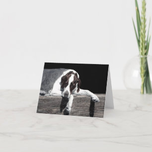 "Sophie" - Cartão Ponteiro Inglês