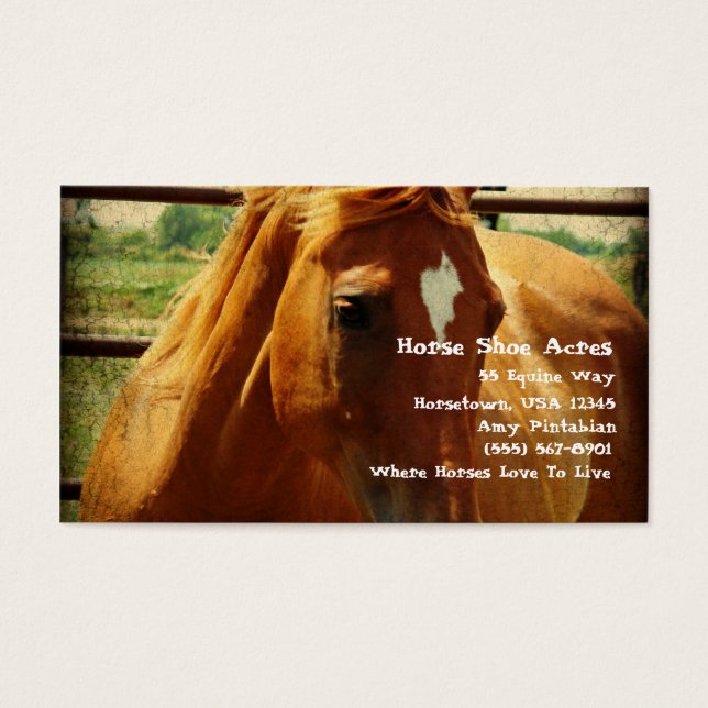 Sorrel em Caneta redonda (Frente)