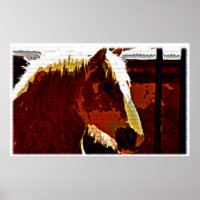 Sorrel Horse em Perfil Poster