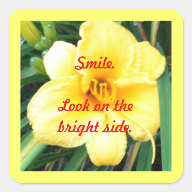 Sorria. Olhe nos adesivos laterais brilhantes (Frente)