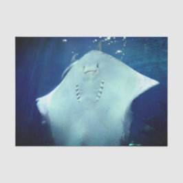 Sorrindo Raios Dando Um Papel De Tecido