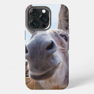 Sorriso de burro com Bobo
