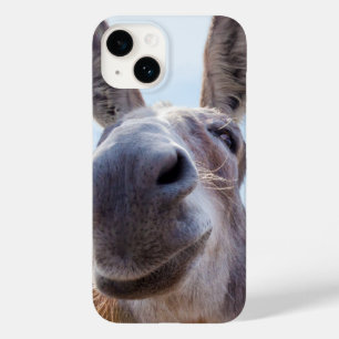 Sorriso de burro com Bobo