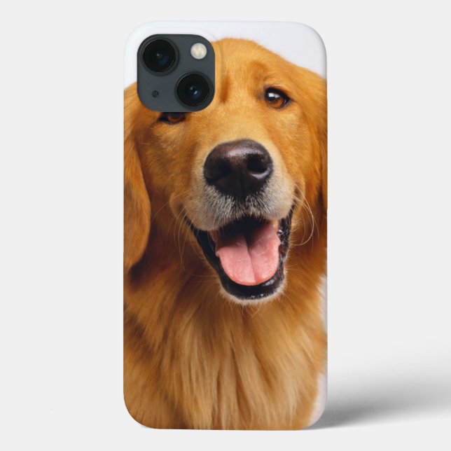 Sorriso do ouro Retriever (Verso)