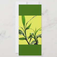 sortudo bambu folhas verdes mantenham a calma lend