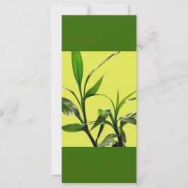 sortudo bambu folhas verdes mantenham a calma lend