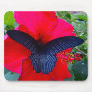 Sorvendo doce - a borboleta Mousepad