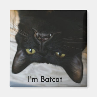 Sou o imã Batcat