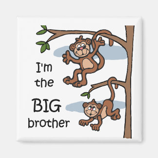 Sou o imã do Big Brother