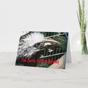 Sou um Cartão de Aniversário Engraçado.