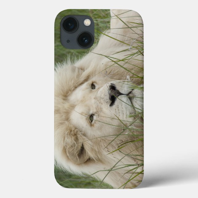 South Africa, East London, Inkwenkwezi Private (Verso)