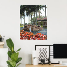 SOUTH FLORIDA FOUNTAIN POSTER