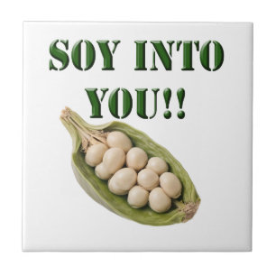 Soy Em Você: Uma História De Amor Vegan.