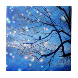 Sozinho Com As Estrelas