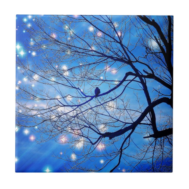 Sozinho Com As Estrelas (Frente)