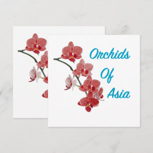 Spa Dia Orquídeas da Ásia
