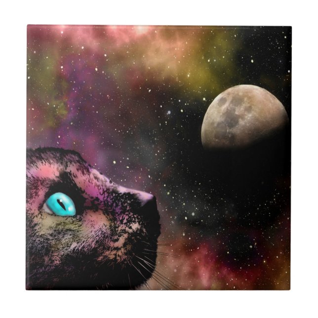 Space Cat 619 Lua Stars Universo (Frente)