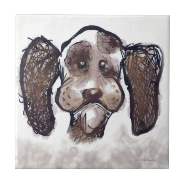 Spaniel (Frente)