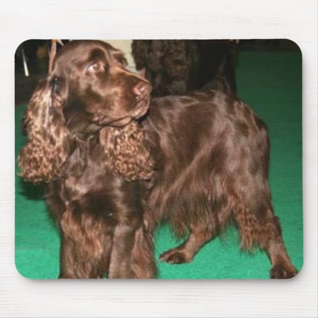Spaniel de campo Mousepad (Frente)