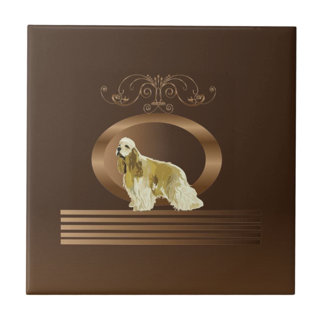 Spaniel de cocker americano (Frente)