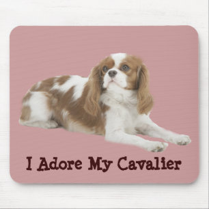 Spaniel de rei Charles descuidado Mousepad