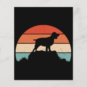 Spaniel de springer em inglês
