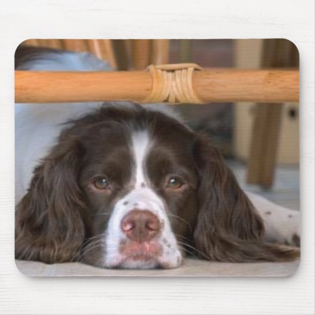 Spaniel de Springer inglês Mousepad (Frente)