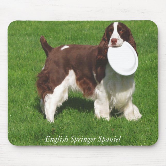 Spaniel de Springer inglês Mousepad (Frente)