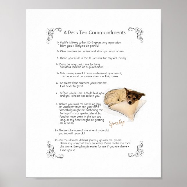 SPARKY a - Poster (Frente)