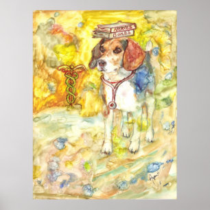 Sparky vai ao poster da Faculdade de Medicina