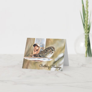 Sparrow e. Alimentador - Cartão de aniversário