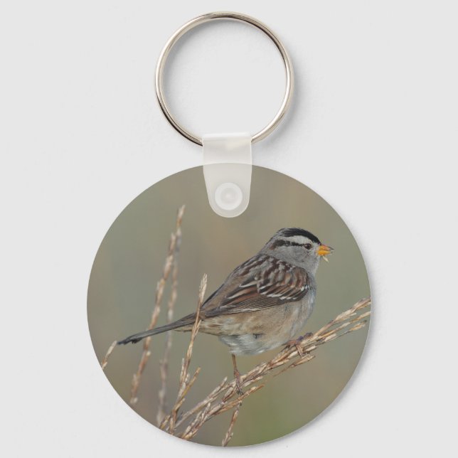Sparrow no Chaveiro Grass 2 (Frente)
