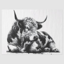 Spartacus, o Papel Tecido Grande Negro e Branco