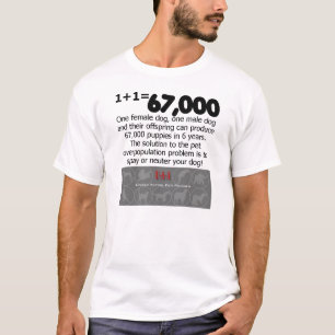 spay a camisa neutra