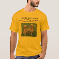 Spay a camisa neutra de T