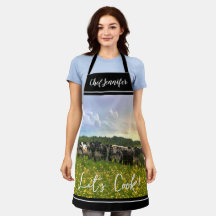 Speckle Park Cattle Sob Chá De Chuva, Céu Sunset