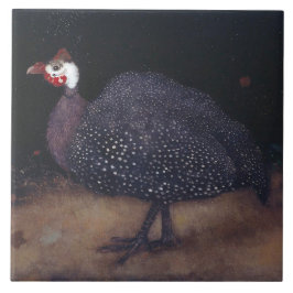 Speckled Guineafowl Bird (por Jan Mankes)