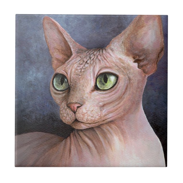 Sphynx Cat 578 (Frente)