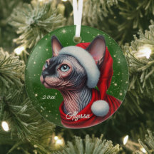 Sphynx Cat Bonito Natal Verde